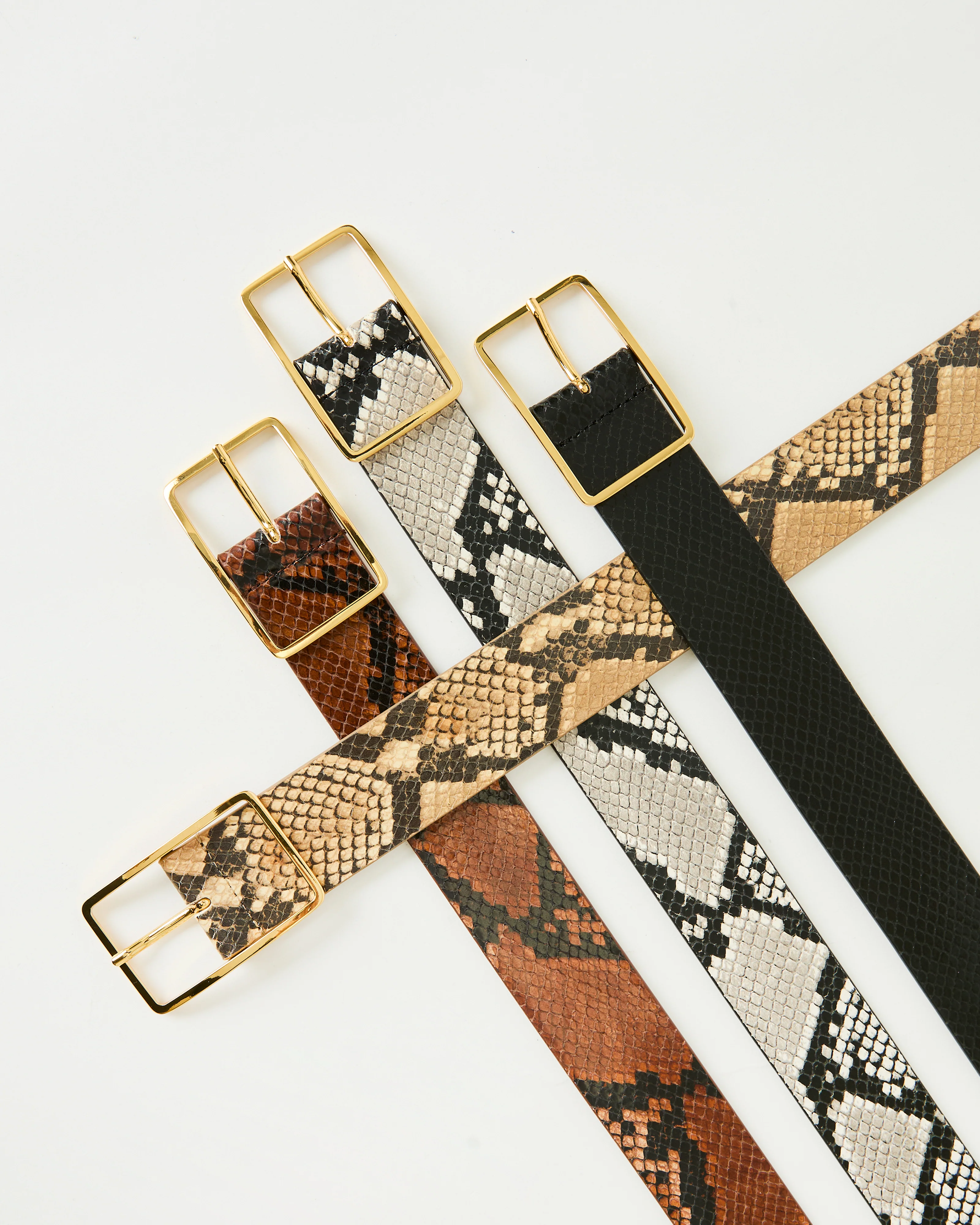 MILLA PYTHON LEATHER BELT - Image 7
